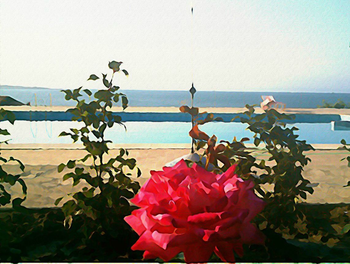 befunky_watercolor_259.jpg