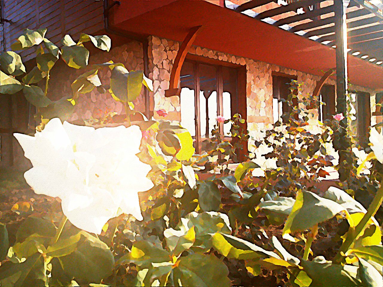 befunky_watercolor_262
